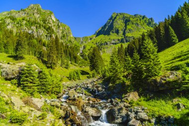 Bir dağ nehir Fagarasi dağ ile güzel sahne