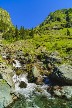 Bir dağ nehir Fagarasi dağ ile güzel sahne