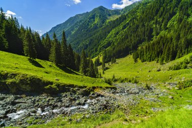 Bir dağ nehir Fagarasi dağ ile güzel sahne