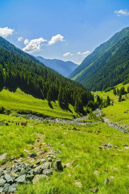 Bir Dağı'nda kaya oluşumu