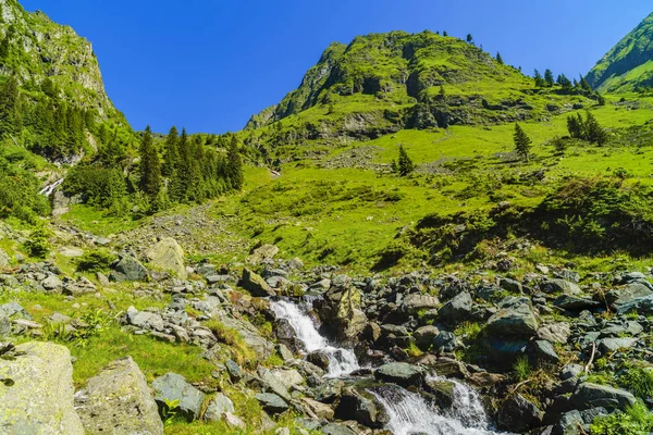 Wunderschöne Landschaft mit einem Gebirgsfluss im Fagarasi-Gebirge — Stockfoto