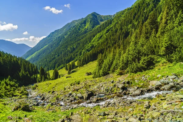 Gyönyörű táj, a hegyi folyó a Fagarasi-hegy — Stock Fotó