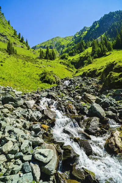 Beautiful scenery with a mountain river in the Fagarasi Mountain — Stock Photo, Image