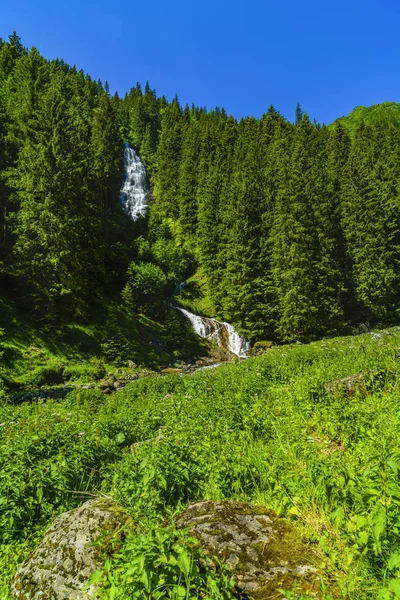 フグラシ ルーマニアの山の中の美しい滝 — ストック写真