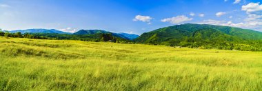 Karpat Dağları'nda güzel dağ manzarası