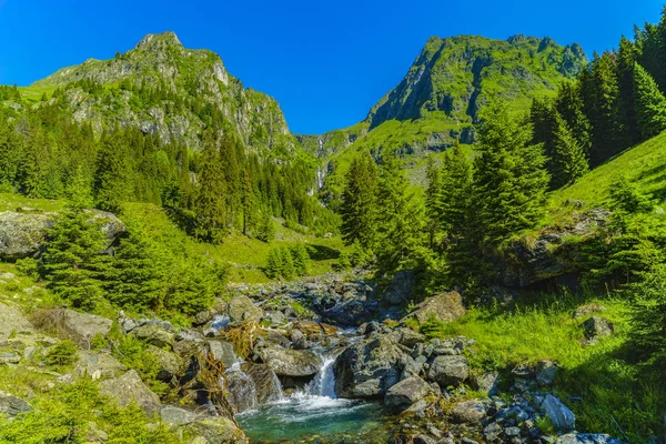 Beautiful scenery with a mountain river in the Fagarasi Mountain — Stock Photo, Image