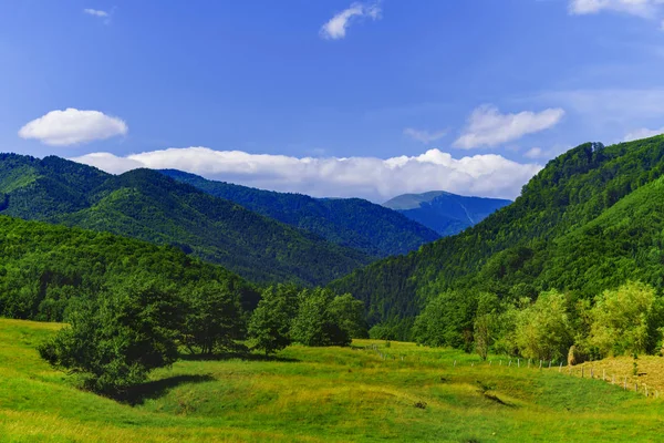 Pięknej górskiej w Karpatach — Zdjęcie stockowe