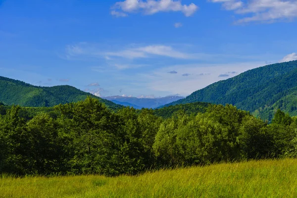 美丽的山景观在喀尔巴阡山 — 图库照片