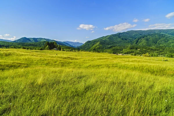 Pięknej górskiej w Karpatach — Zdjęcie stockowe