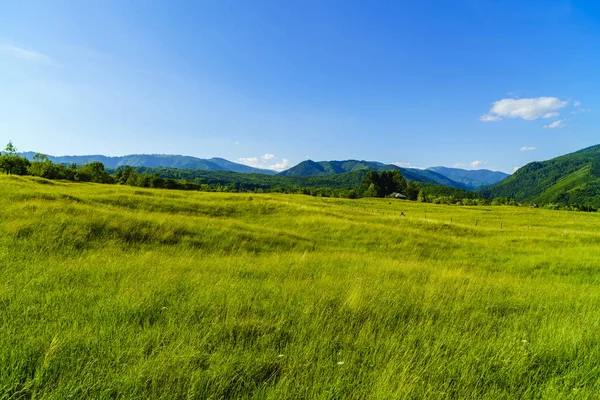 Prachtige berglandschap in de Karpaten — Stockfoto