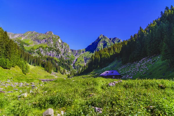 美丽的山景观在喀尔巴阡山 — 图库照片