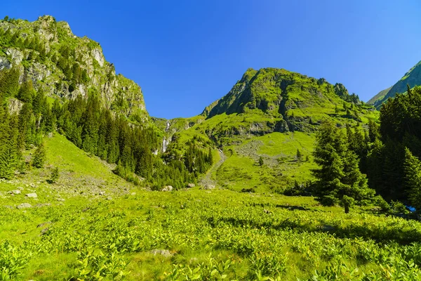 Bellissimo paesaggio montano nelle montagne dei Carpazi — Foto Stock
