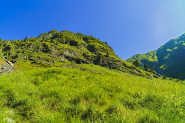 Karpat Dağları'nda güzel dağ manzarası