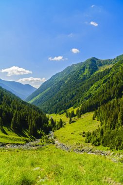 Karpat Dağları'nda güzel dağ manzarası