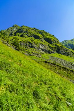 Karpat Dağları'nda güzel dağ manzarası