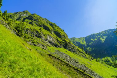 Karpat Dağları'nda güzel dağ manzarası