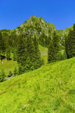 Karpat Dağları'nda güzel dağ manzarası