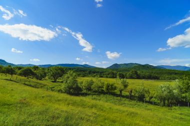 Ağaçlar ve çim bir dağ üzerinde pastoral manzara