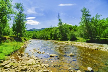 Bir dağ nehir Fagarasi dağ ile güzel sahne