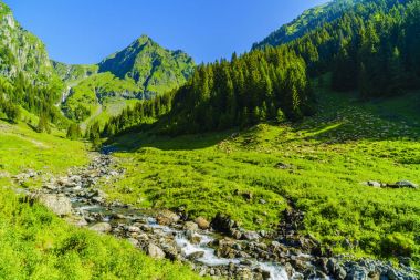 Bir dağ nehir Fagarasi dağ ile güzel sahne