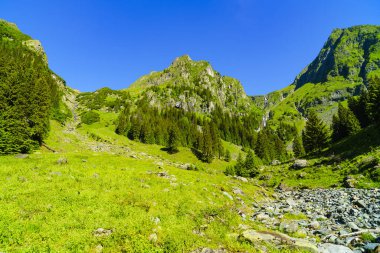 Bir dağ nehir Fagarasi dağ ile güzel sahne