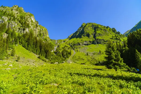 美丽的山景观在喀尔巴阡山 — 图库照片