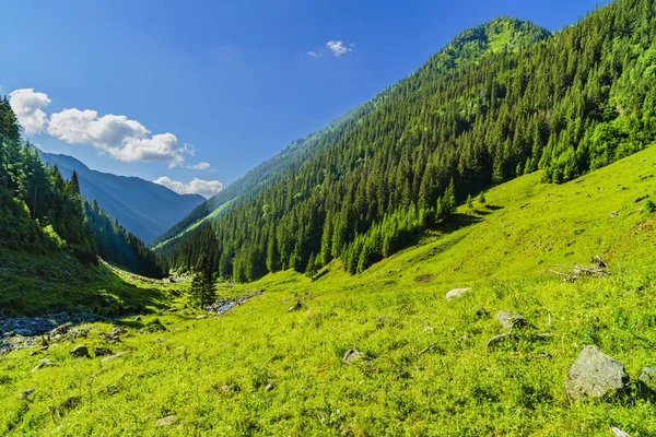 Hermoso paisaje de montaña en las montañas Cárpatos —  Fotos de Stock