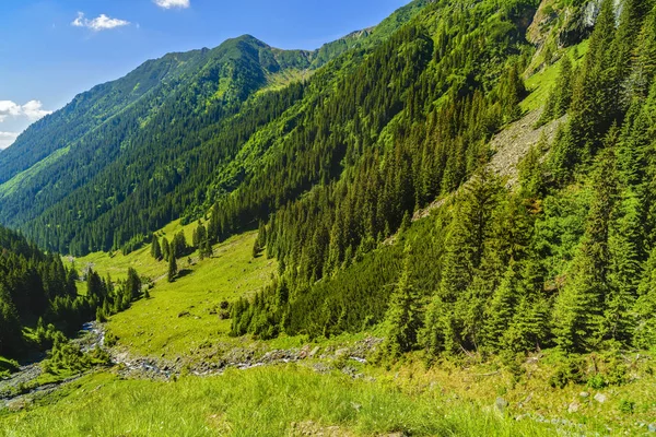 Gyönyörű hegyi táj, a Kárpát-hegység — Stock Fotó