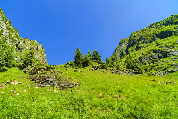 Gyönyörű hegyi táj, a Kárpát-hegység — Stock Fotó