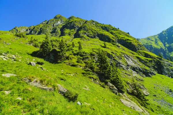 Beautiful mountain landscape in Carpathian mountains — Stock Photo, Image