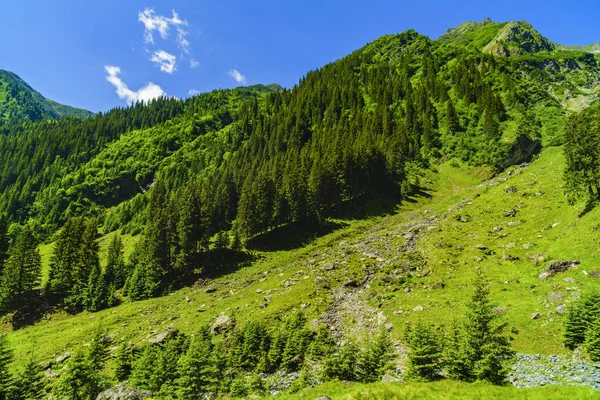 Beau paysage de montagne dans les montagnes des Carpates — Photo