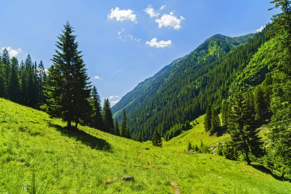 Vackert bergslandskap i Karpaterna — Stockfoto