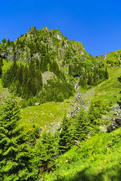 Beautiful mountain landscape in Carpathian mountains — Stock Photo, Image