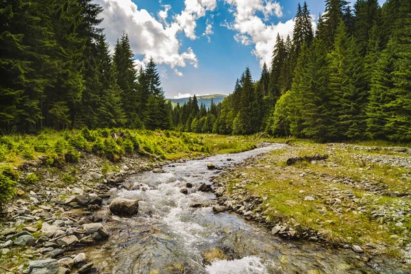 Hermoso paisaje con un río de montaña en un lugar salvaje — Foto de Stock