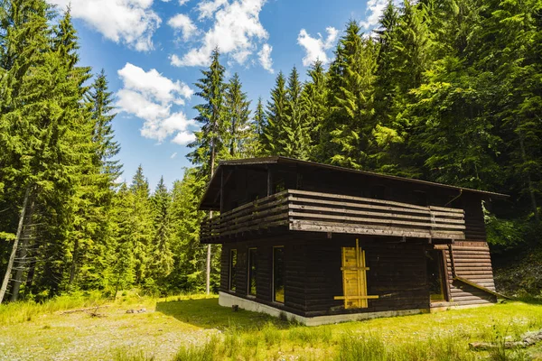 Beautiful wooden cottage in fir forest — Stock Photo, Image