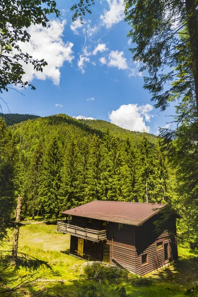 Beau chalet en bois dans la forêt de sapins — Photo