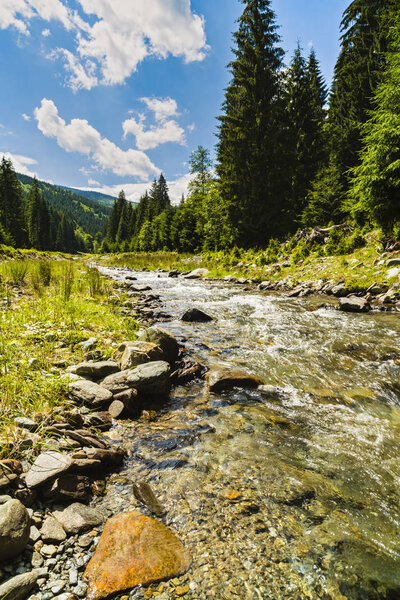 Beautiful scenery with a mountain river in a wild place