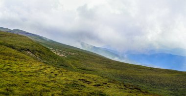Panorama Karpat Dağları ile. Romanya