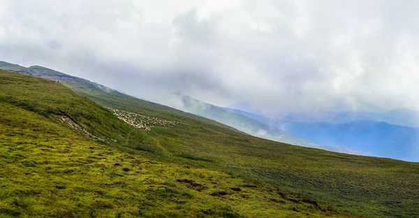 Panorama avec les Carpates. Roumanie — Photo