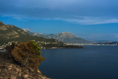 Karadağ'daki bitki örtüsü yangından sonra dramatik görüntü