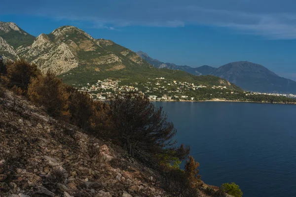 Karadağ'daki bitki örtüsü yangından sonra dramatik görüntü