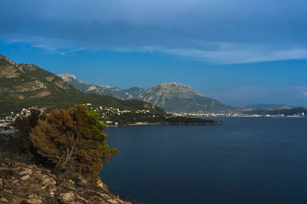 Karadağ'daki bitki örtüsü yangından sonra dramatik görüntü