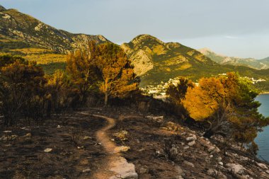 Karadağ'daki bitki örtüsü yangından sonra dramatik görüntü