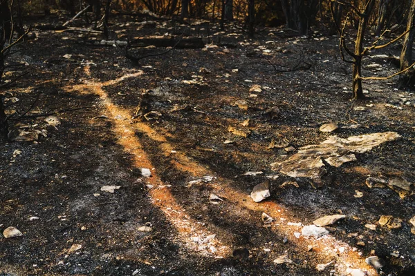 在黑山的植被火灾后的戏剧性图像 — 图库照片