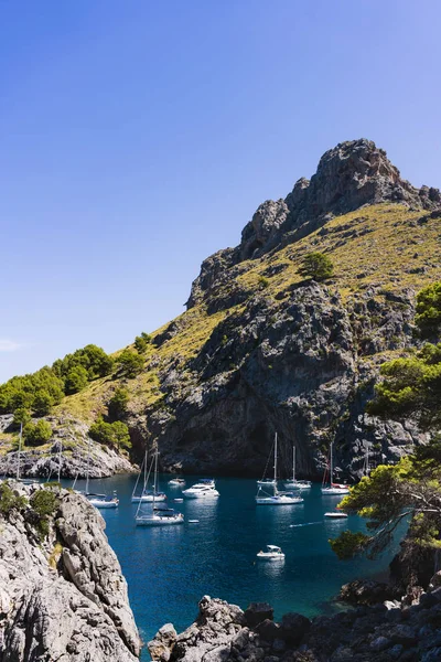 Hermoso paisaje costero en palmera de mallorca en la Mediterra — Foto de Stock