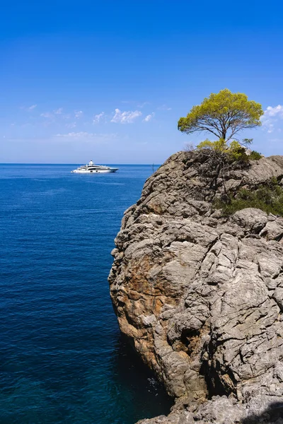地中海のマヨルカのパームの美しい海岸の風景 — ストック写真