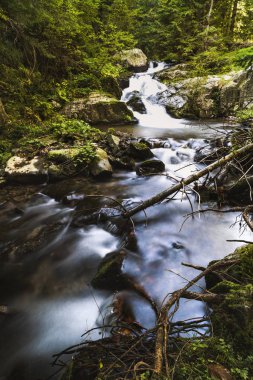 şelale sarı tuşlar aracılığıyla bir dağ nehir üzerinde. Romanya