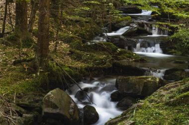 şelale sarı tuşlar aracılığıyla bir dağ nehir üzerinde. Romanya
