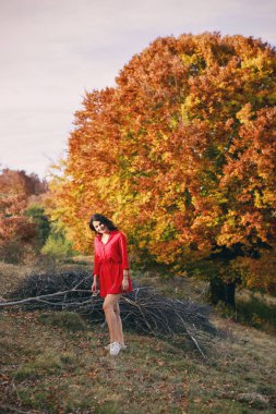Genç esmer güzel güneşli bir sonbahar doğada sahiptir