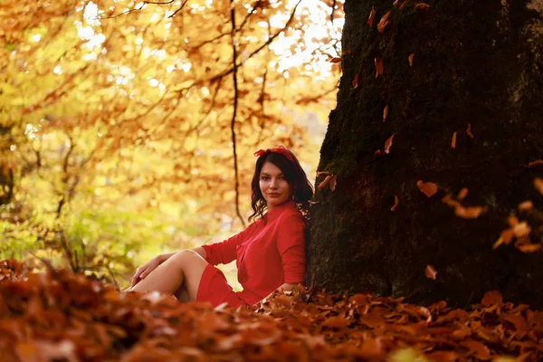 Mooie jonge brunette geniet van een zonnige dag van de herfst in de natuur — Stockfoto